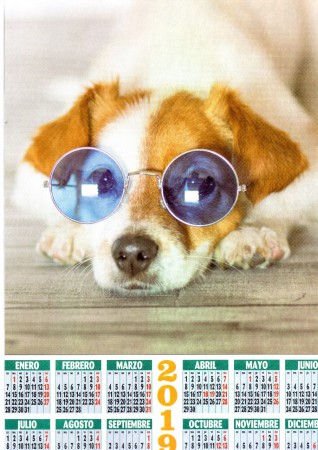 CALENDARIO DE PERRO CON GAFAS